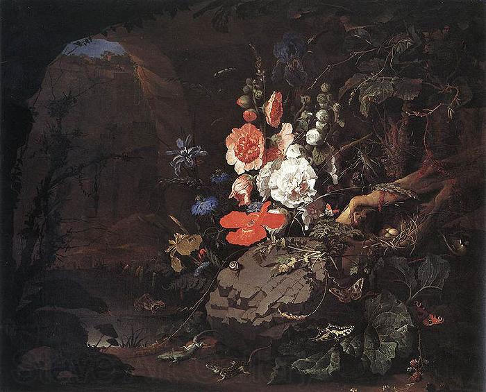 Abraham Mignon Nature as a Symbol of Vanitas France oil painting art